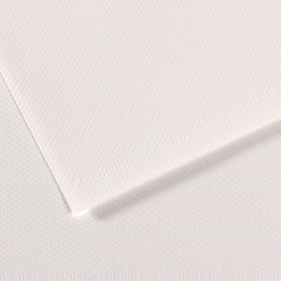 Canson Fon Kartonu Dokulu 50x65 160gr Mı-teıntes Beyaz Whıt 335