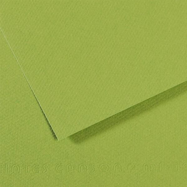 Canson Fon Kartonu 50x65 160g 475 Apple Green 200321154