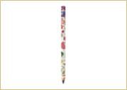 Bruno Visconti Happy Graphix Jumbo Kurşun Kalem Sofra 21-0062/20