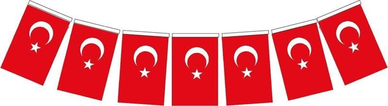 Vatan Bayrak İpli Büyük Türk Vt-809
