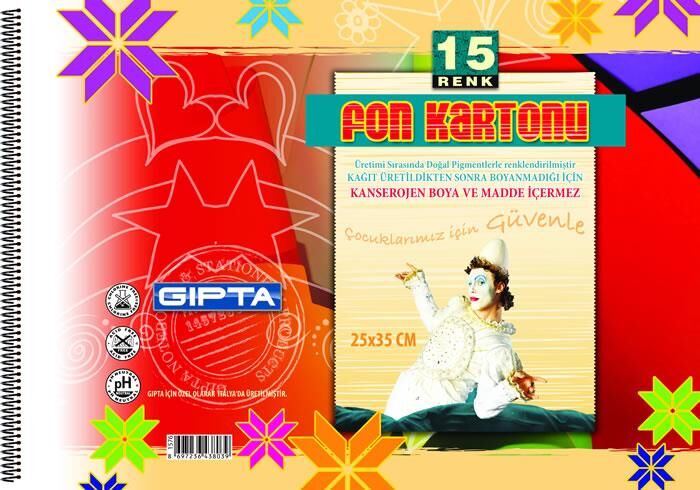 Gıpta Fon Kartonu 35x50 15 Renk Sipr. 3-157700-2011