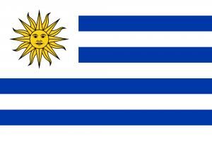 Buket Bayrak Yabancı Ülke 70x105 Uruguay