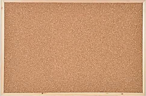 Panda Mantar Pano 60x90 Cm Ahşap Çerçeveli Pan116